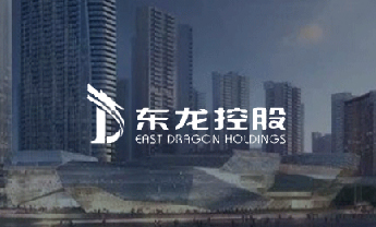 东龙控股